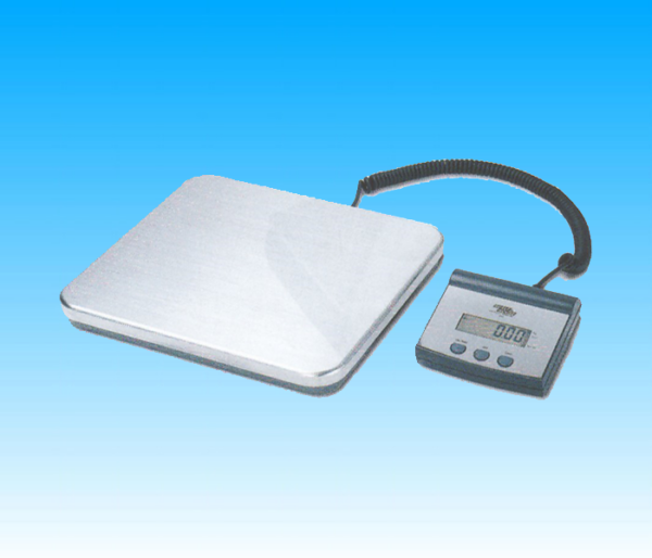 PIATTAFORME DIGITALI PESAPACCHI