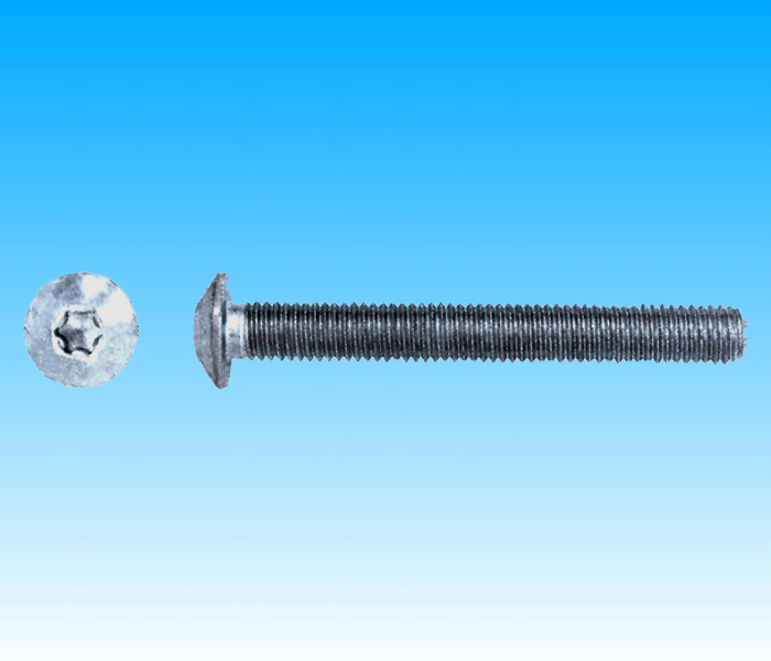 VITE DI SICUREZZA TESTA MEZZA TONDA