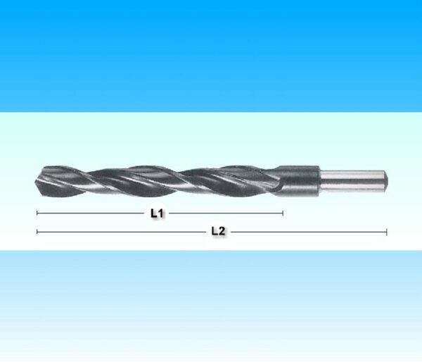 PUNTE -RETTIFICATA- CON CODOLO RIDOTTO