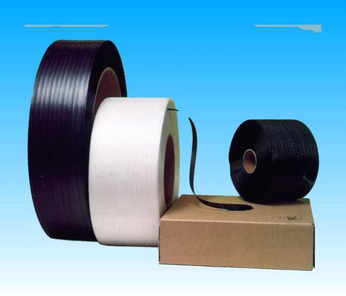 REGGETTE IN PLASTICA