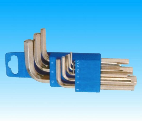 ASSORTIMENTO CHIAVI ESAGONALI