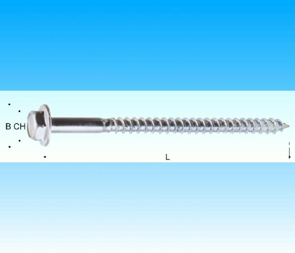 VITI TRUCIOLARI TESTA ESAGONALE